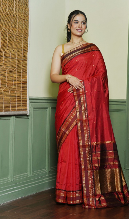 NARAYANPET SILK SAREE