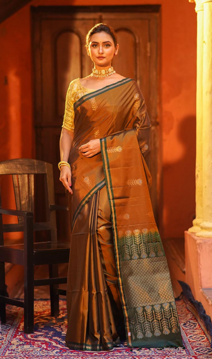 KANJIVARAM SAREE