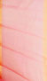 CHANDERI SAREE