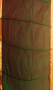 CHANDERI SAREE