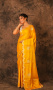 DESIGNER TUSSAR SAREE