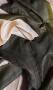 TUSSAR SAREE