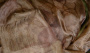 TISSUE TUSSAR SAREE