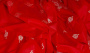 KANTHA SAREE