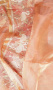 DESIGNER TISSUE SAREE