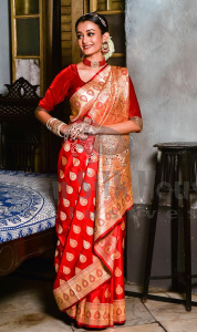 BENARASI SAREE