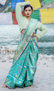 TUSSAR BENARASI SAREE