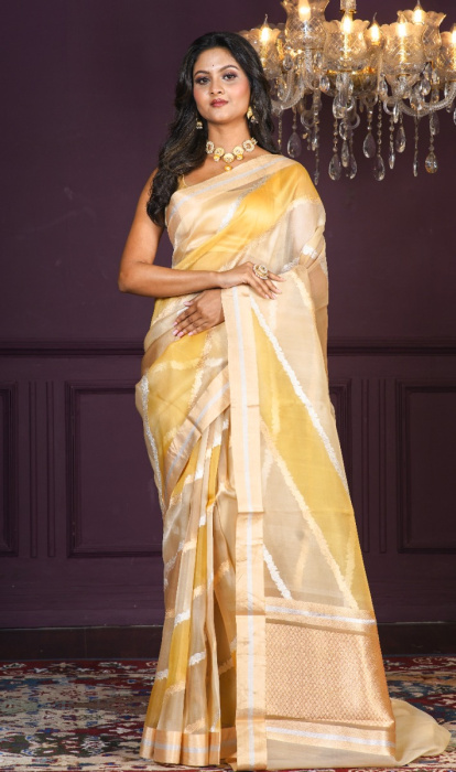 ORGANZA SAREE